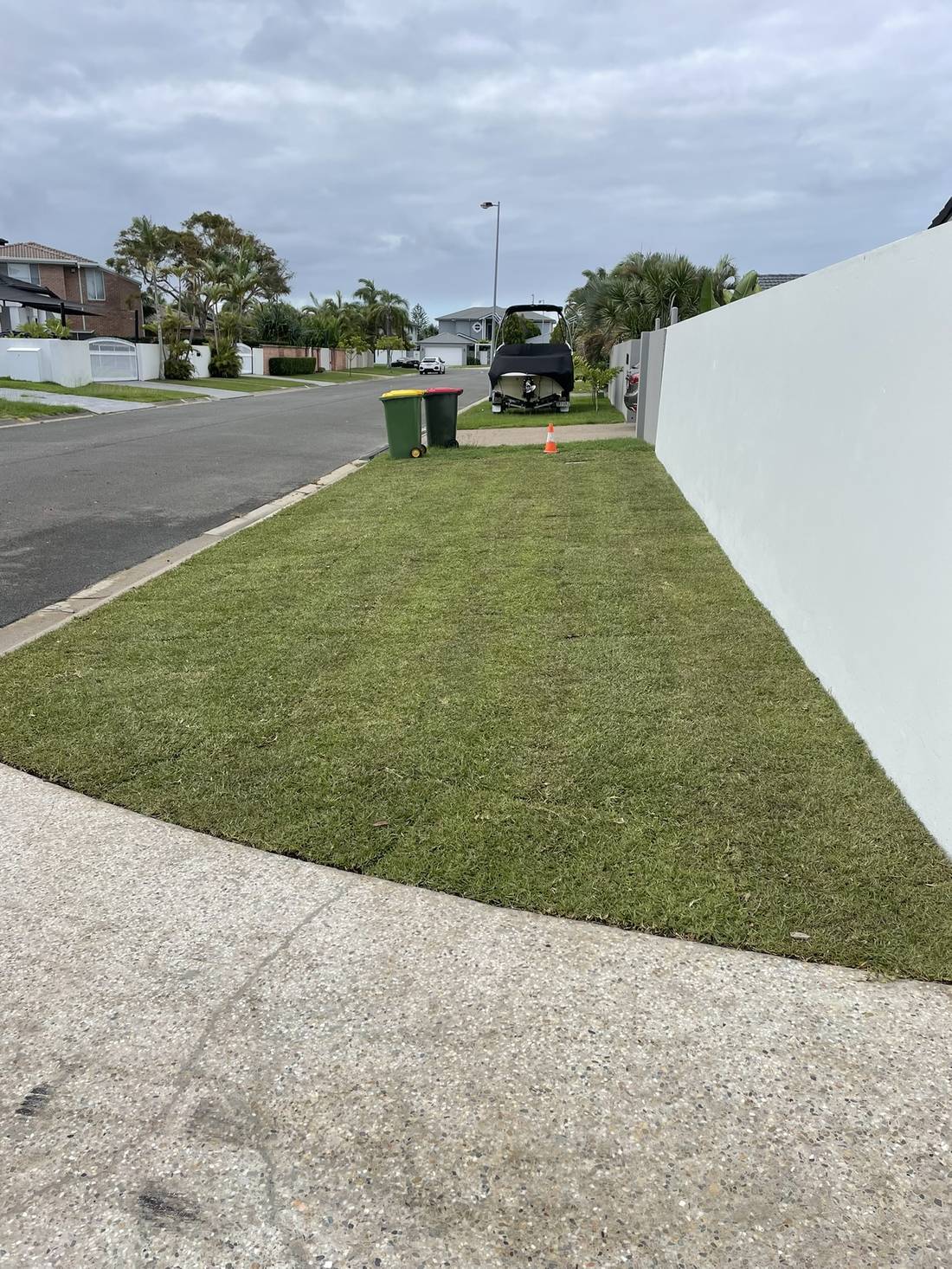 Nature-strip turf